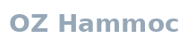 OZ Hammocks — Possum SEO client